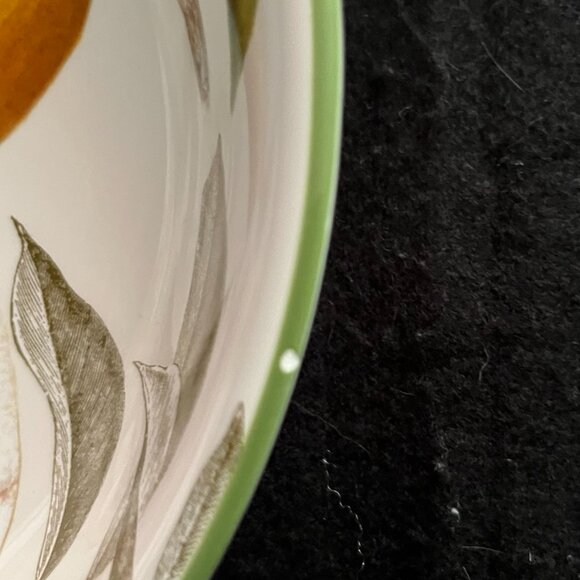 Vintage Discontinued Williams Sonoma Botanical Citrus Bowls/Plates - Picture 3 of 11